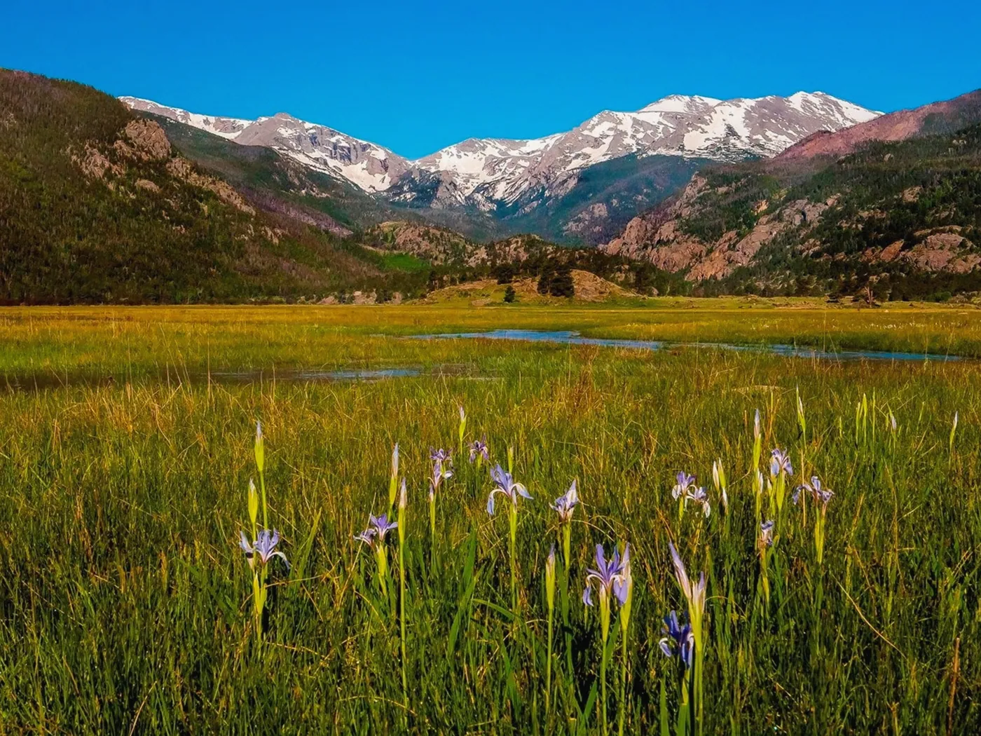 Mountain Acreage in Georgetown